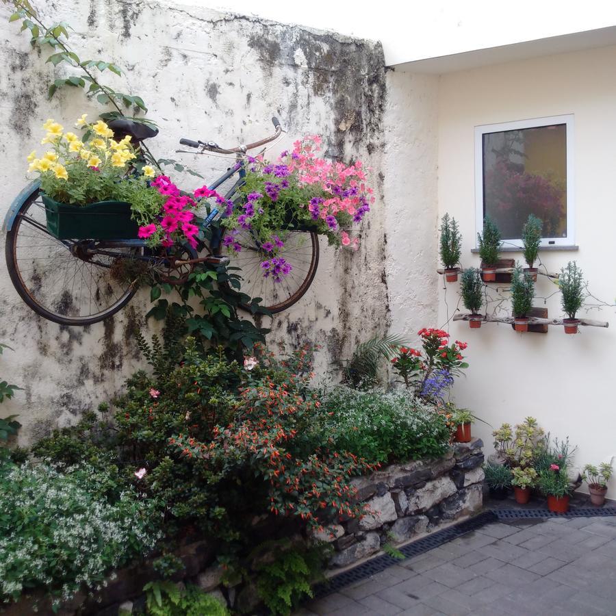 Сasa de vacaciones Casa Da Avo Clementina