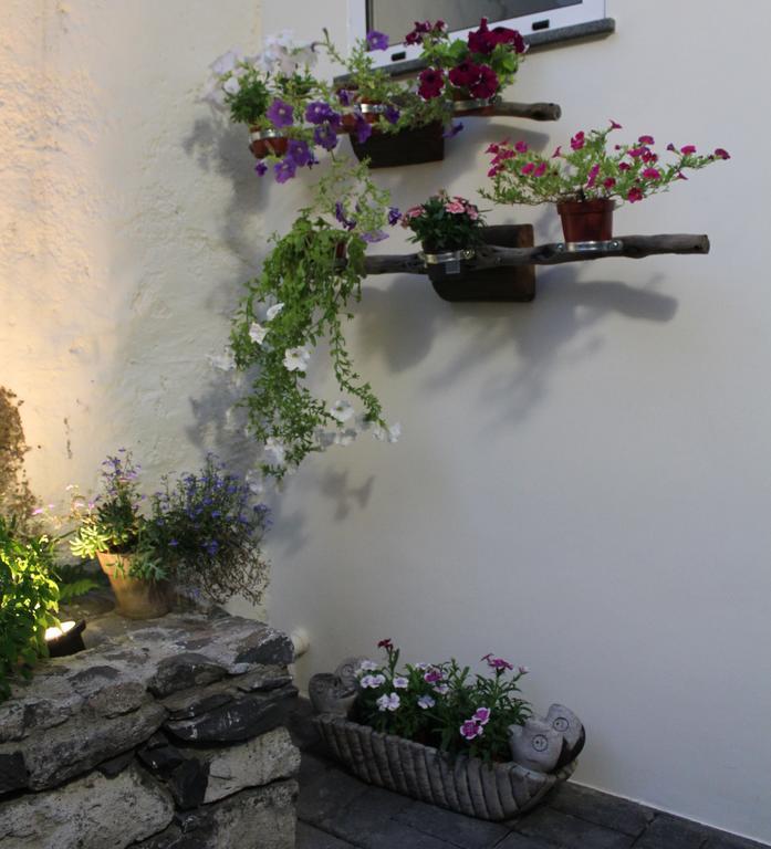 Casa Da Avo Clementina Feriehus Funchal (Madeira)